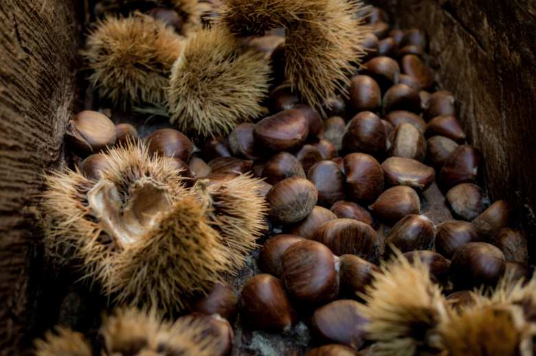 La Farina di Castagne della Lunigiana D.O.P.