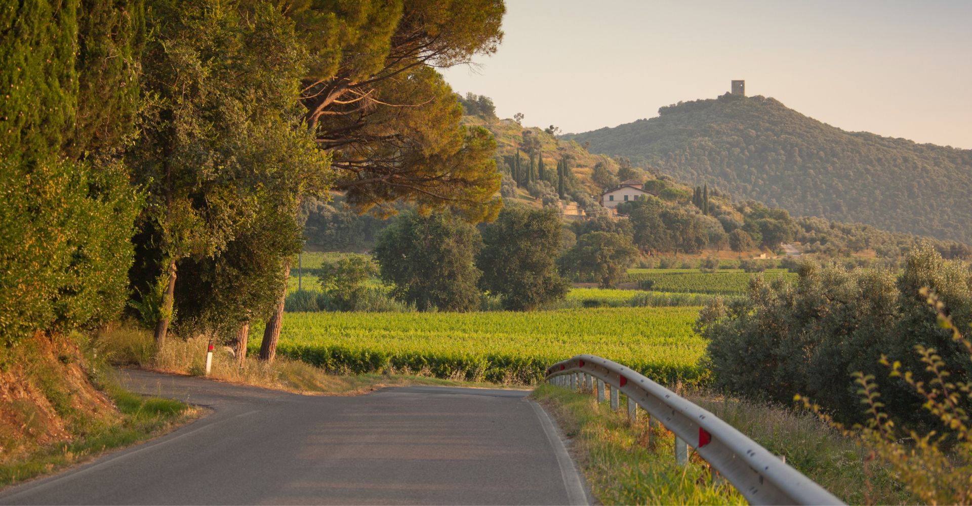 Seven days by bike between Castiglione della Pescaia and Castagneto Carducci