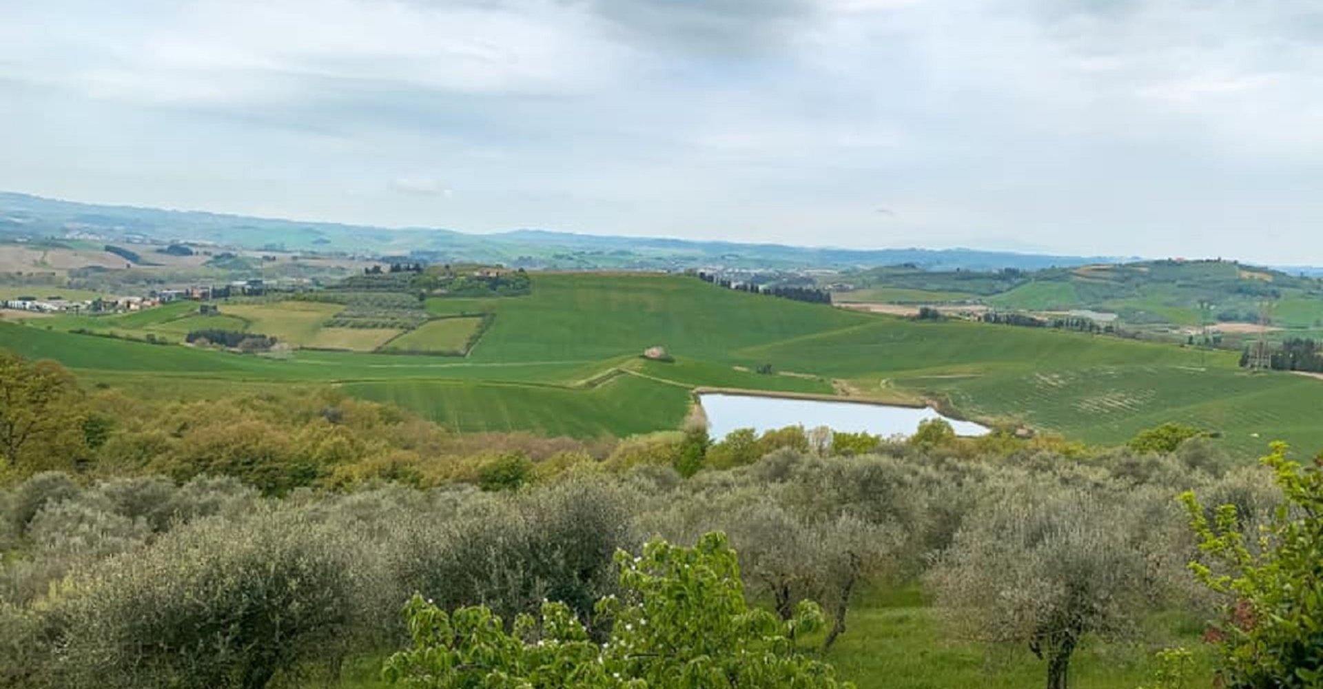 castelfiorentino-francigena.jpg