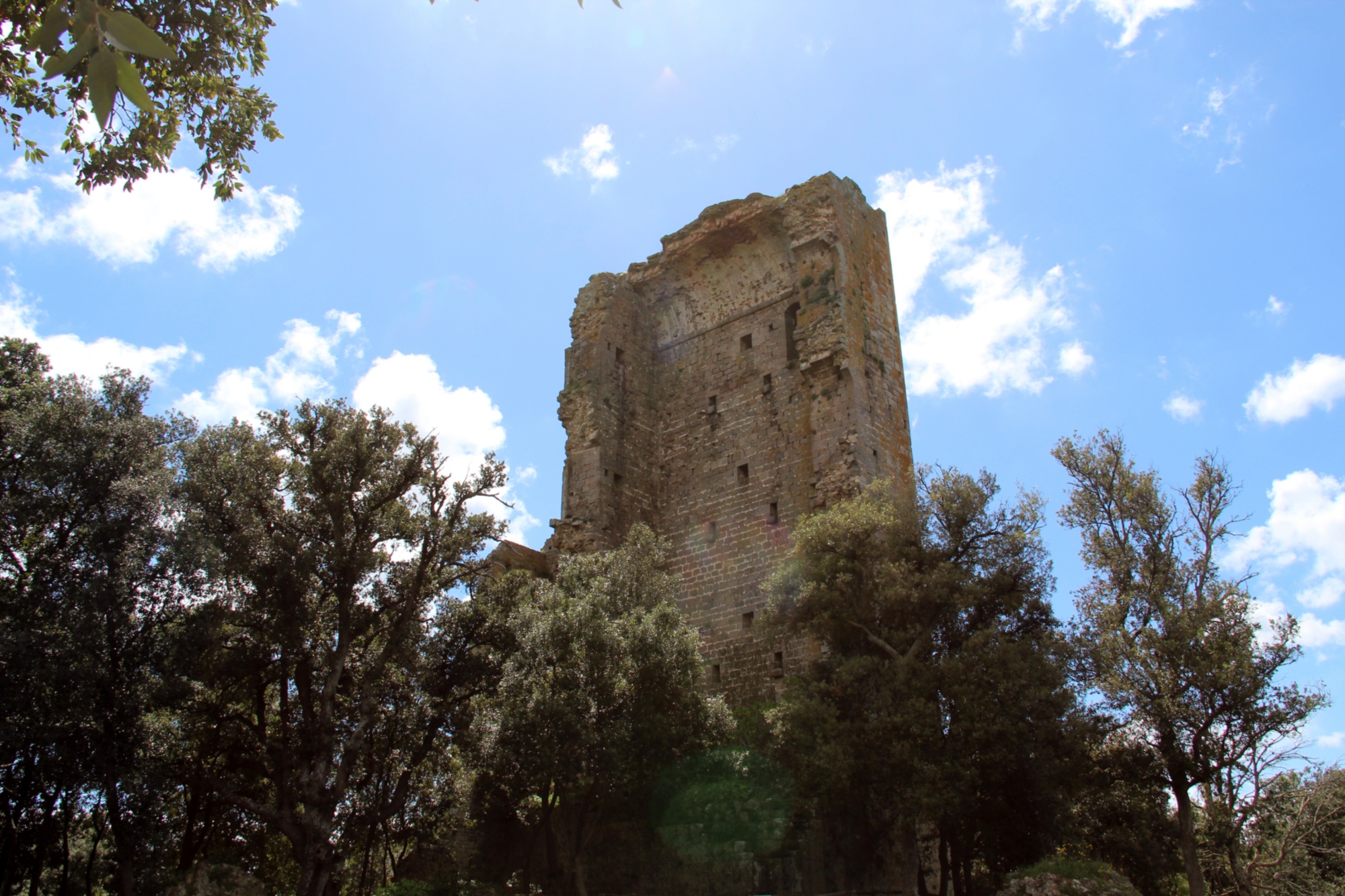 Ruins of the Donoratico Castle