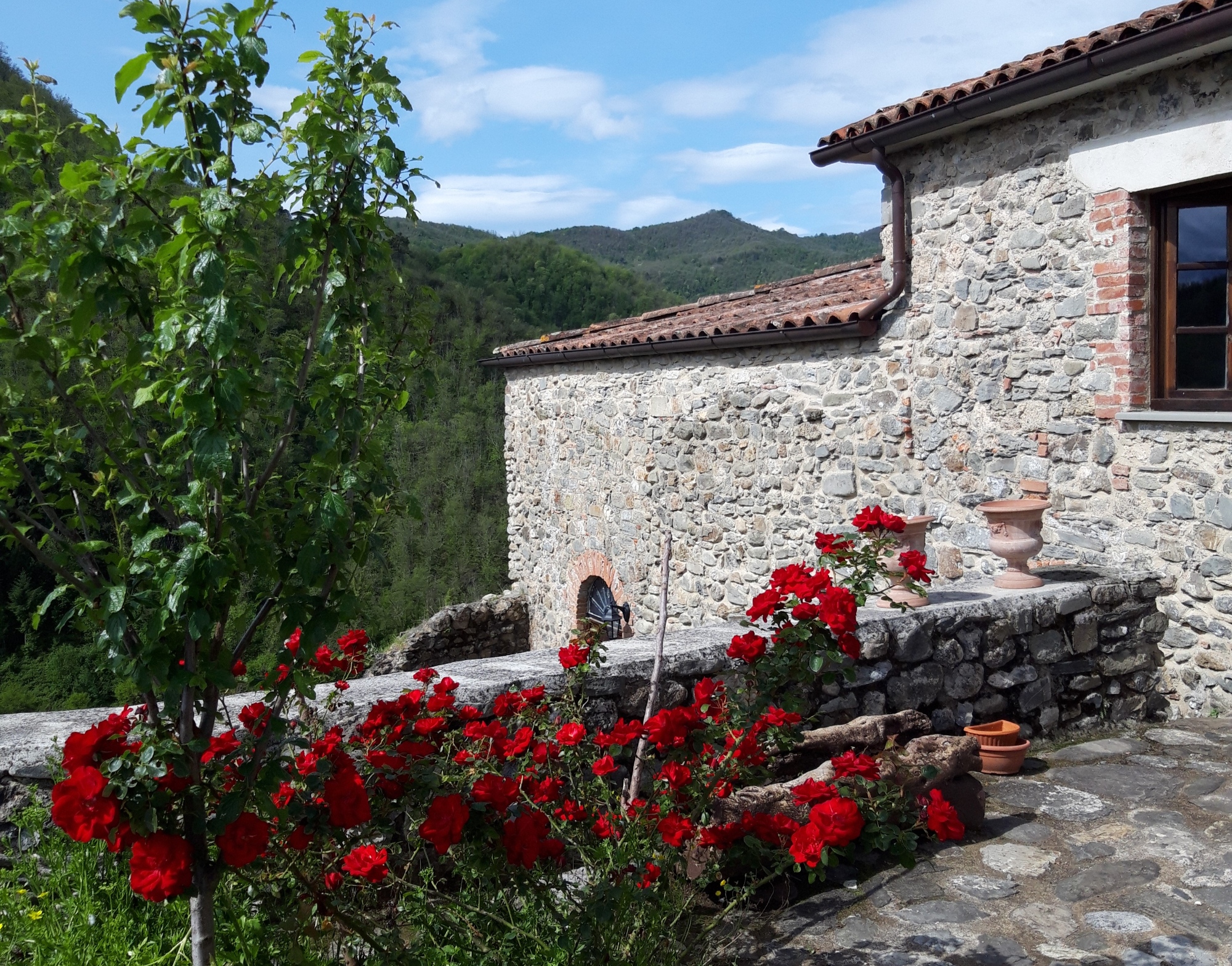 Aperçu du château de Tresana