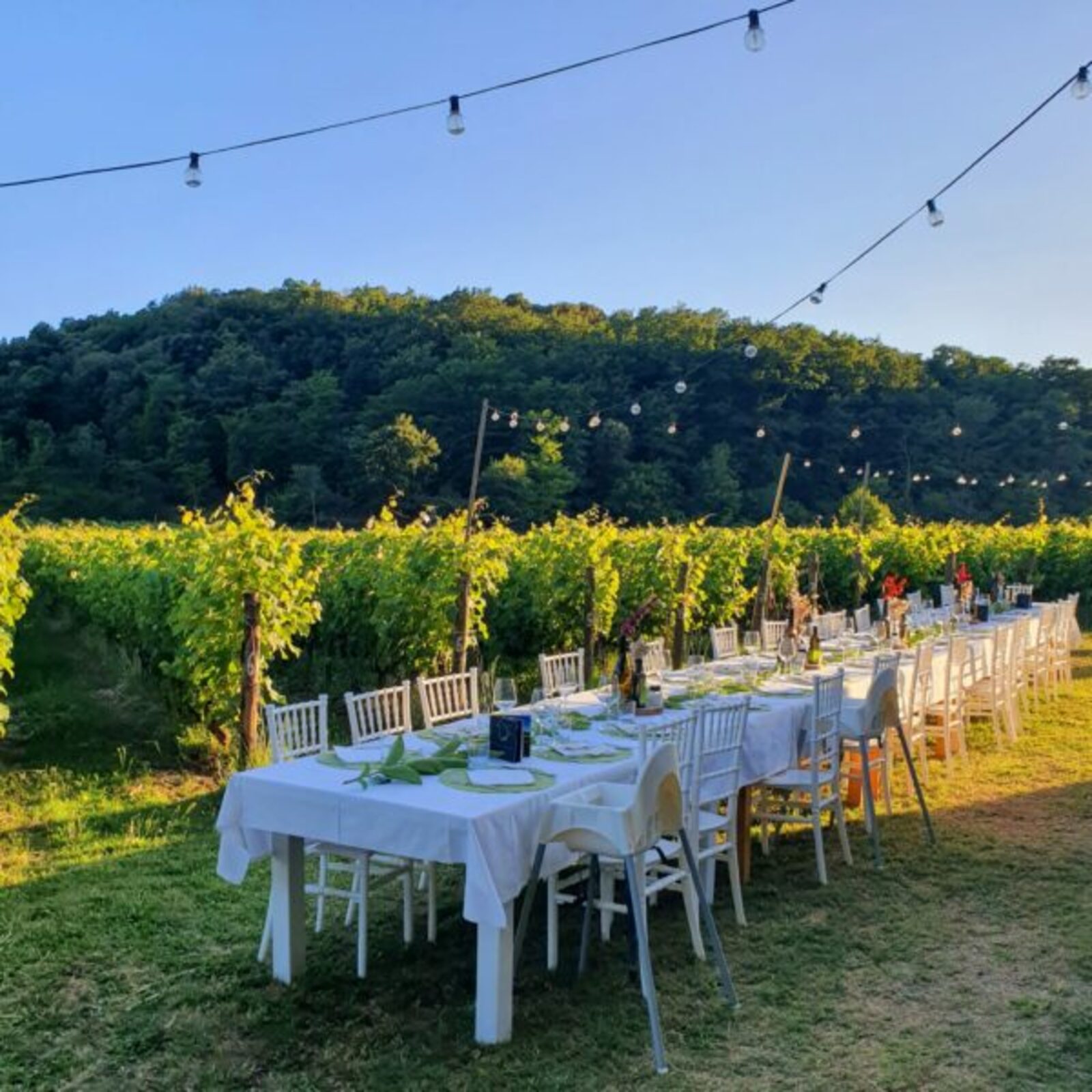 Una cena sotto le stelle per vivere un’esperienza unica a Tenuta La Macchia, non lontano dal mare!