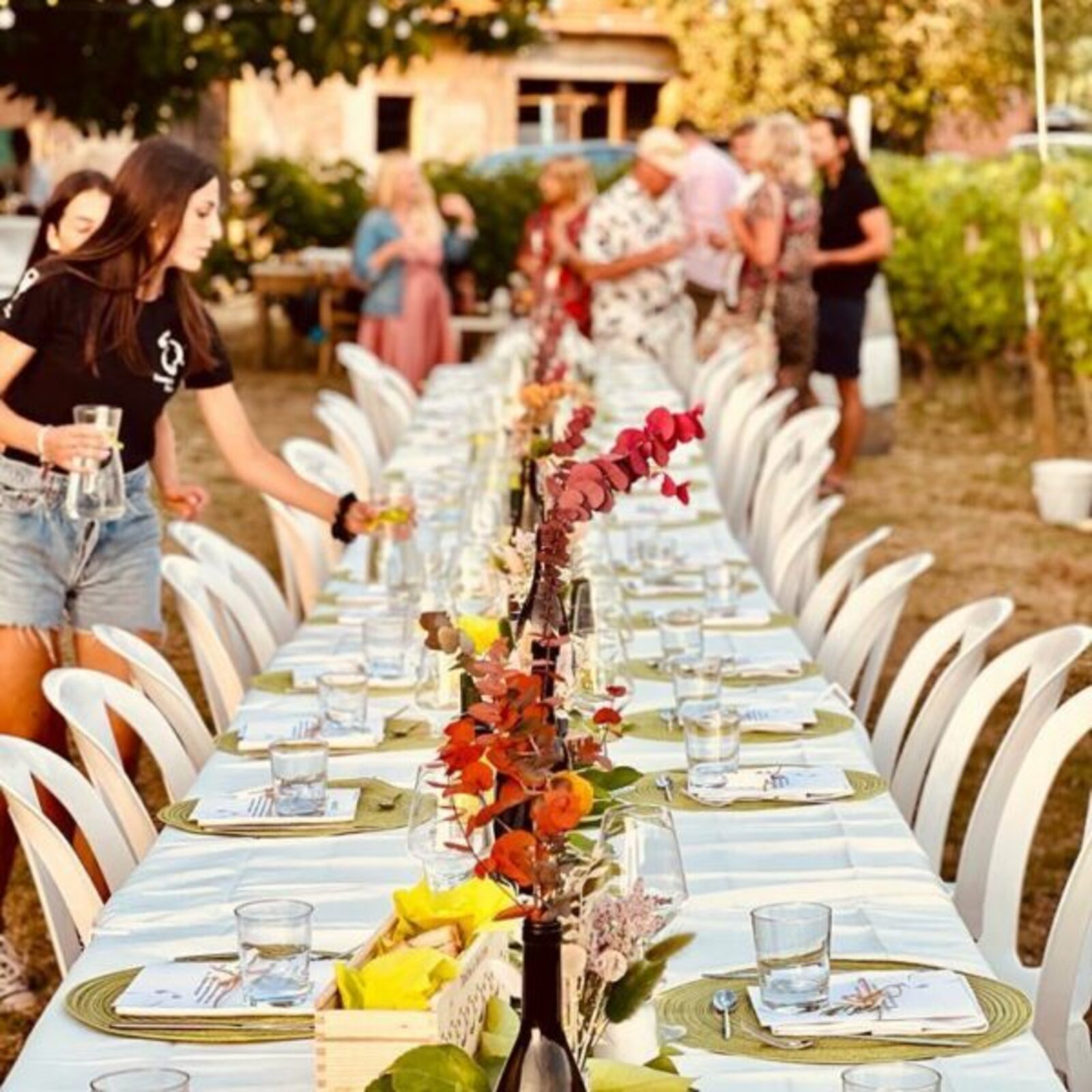 Una cena sotto le stelle per vivere un’esperienza unica a Tenuta La Macchia, non lontano dal mare!