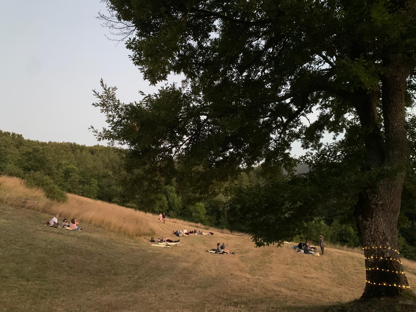 Cena Stellata sulle colline di Vezzano