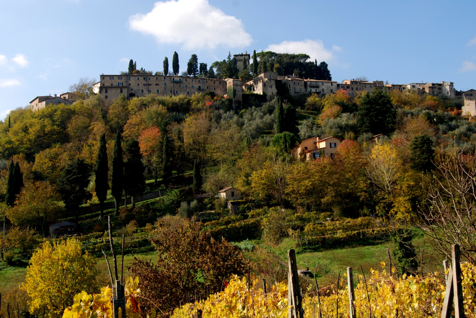 Sagra del Bico