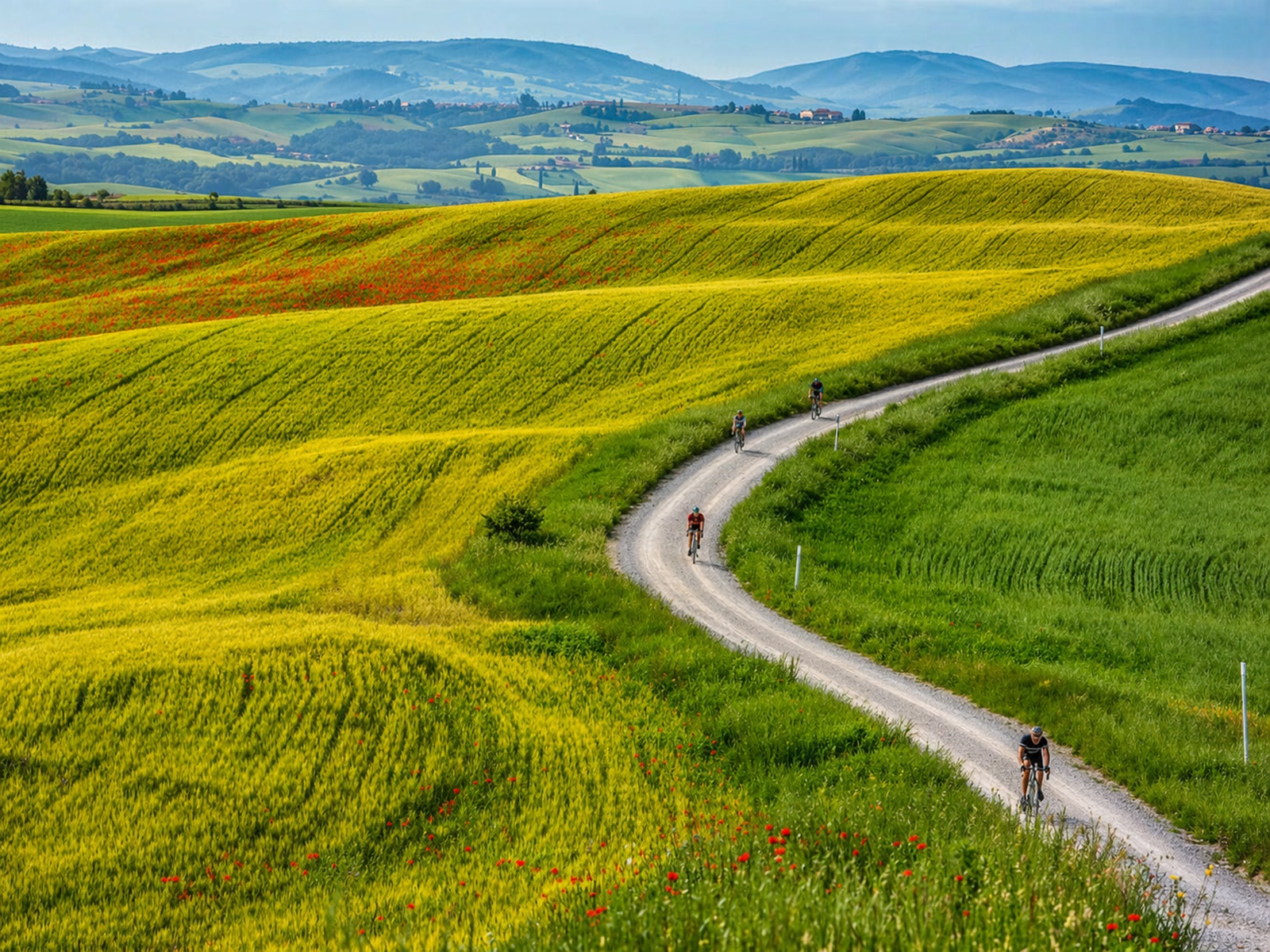 Cyclists ride a dirt road winding through the Crete Senesi, with the Tuscan hills in the background