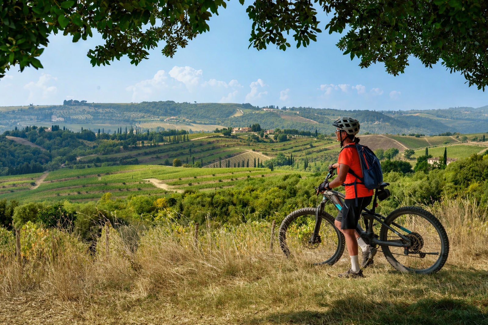 E-bike tour on the dirt roads of the Crete Senesi