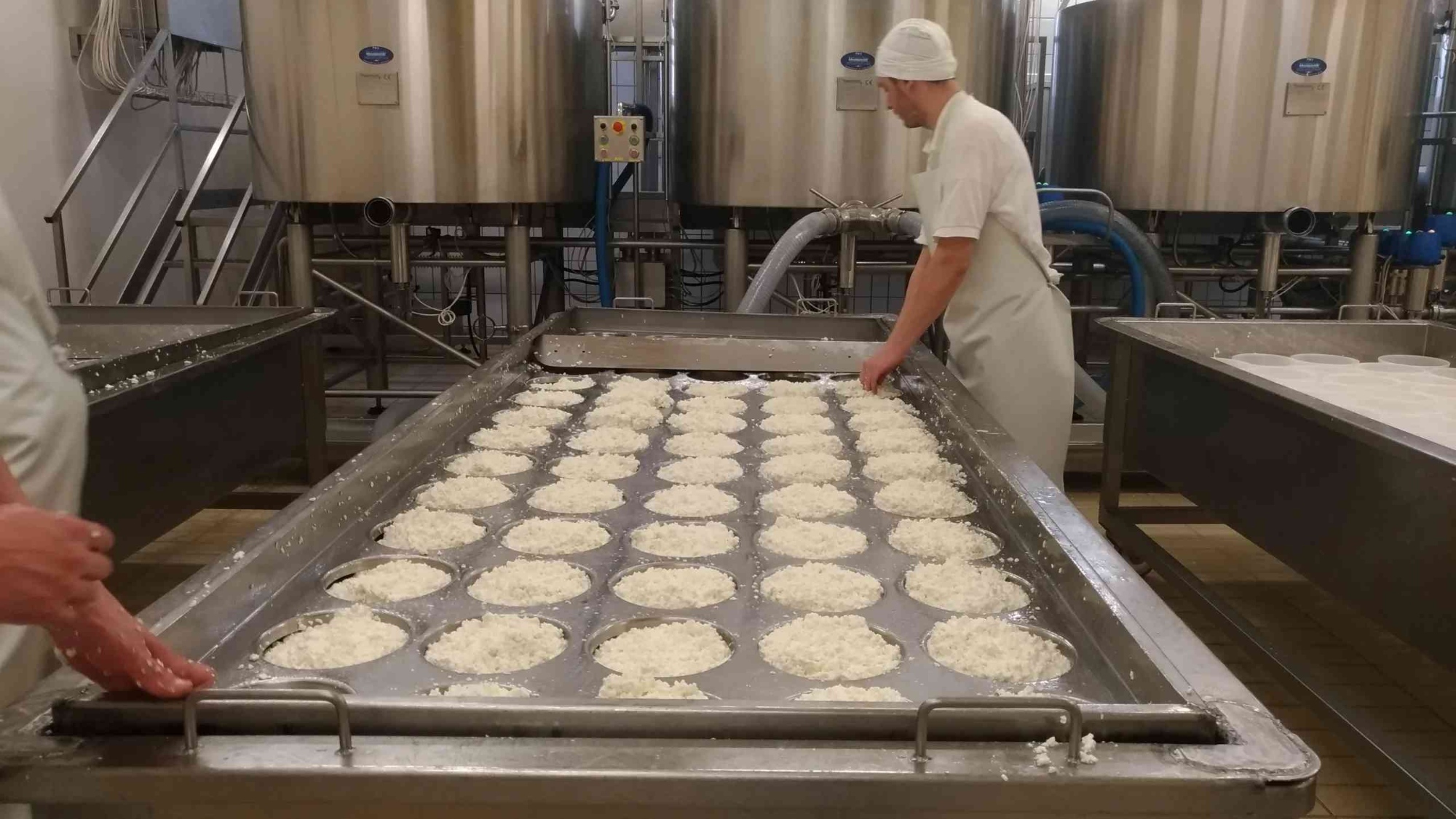 Visita guidata in un caseificio e tour in una cantina vicino Pisa