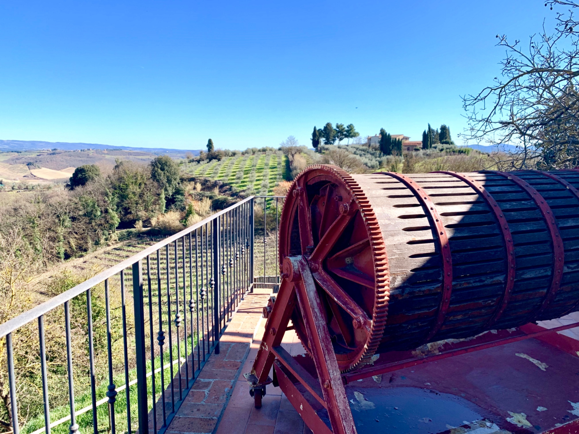 Visita a una cantina nel Chianti