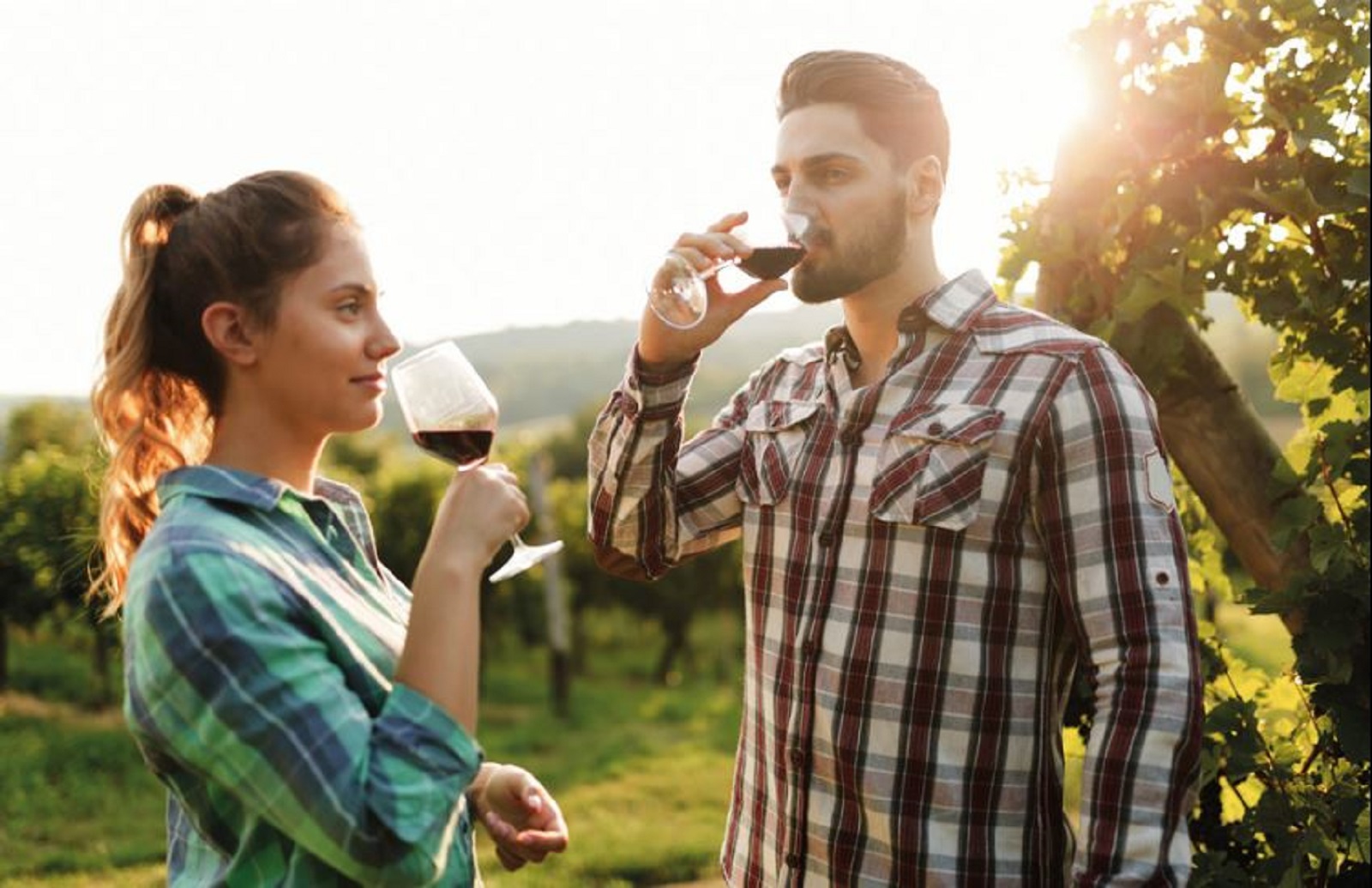 Tour de Siena y el Chianti con salida desde Florencia para descubrir los vinos toscanos