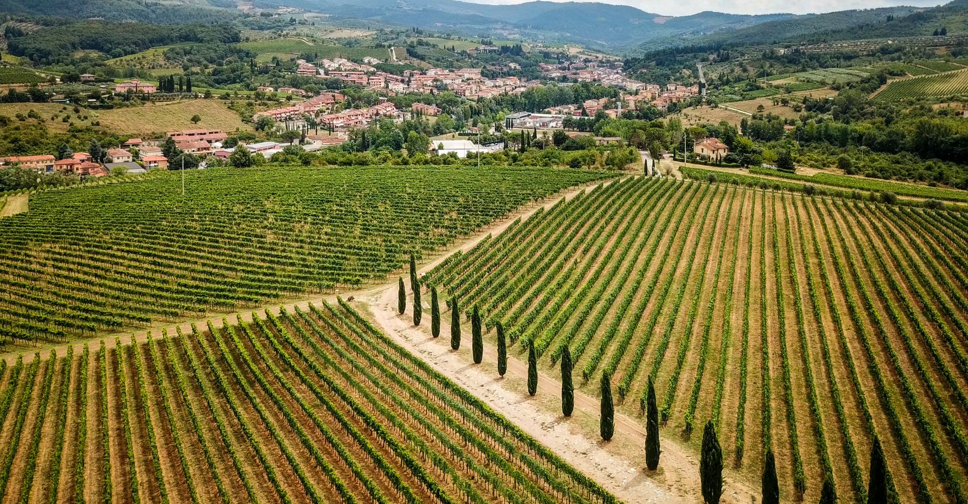 Four days by bike in Chianti between Florence and Siena