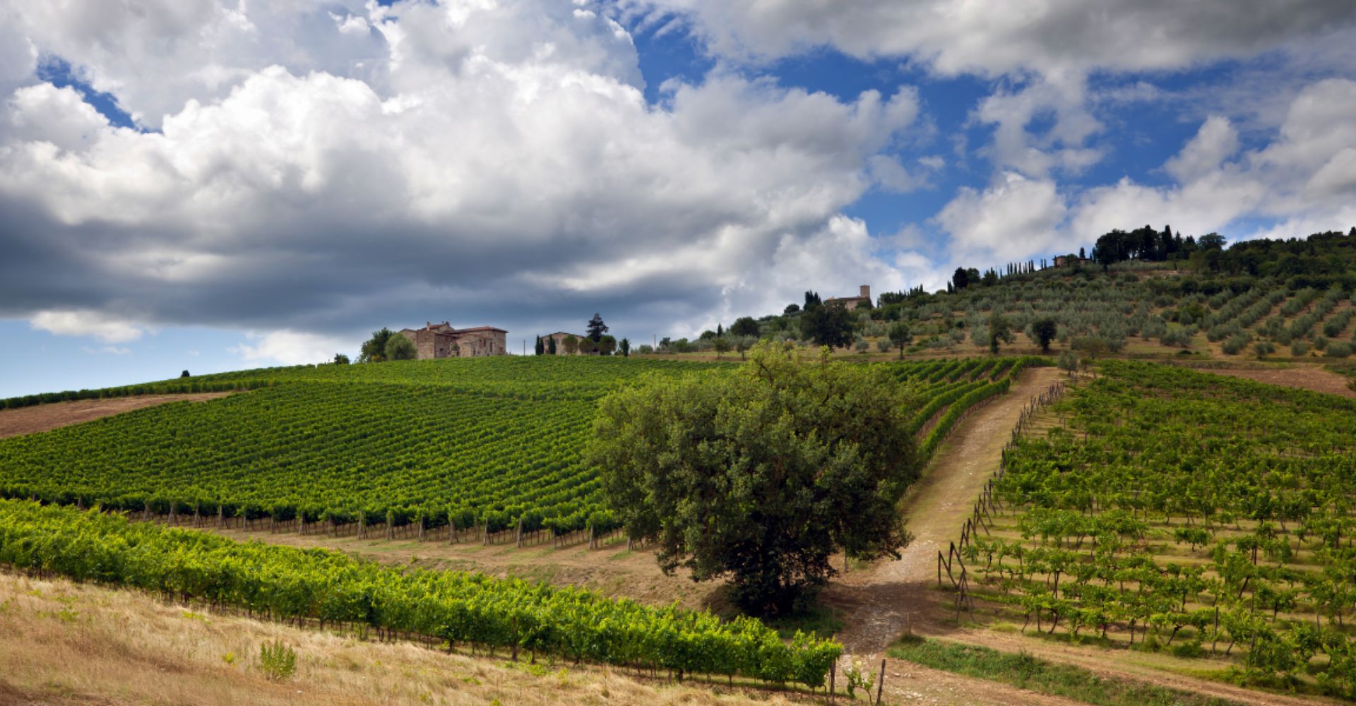 Cinque giorni in cammino per le colline del Chianti