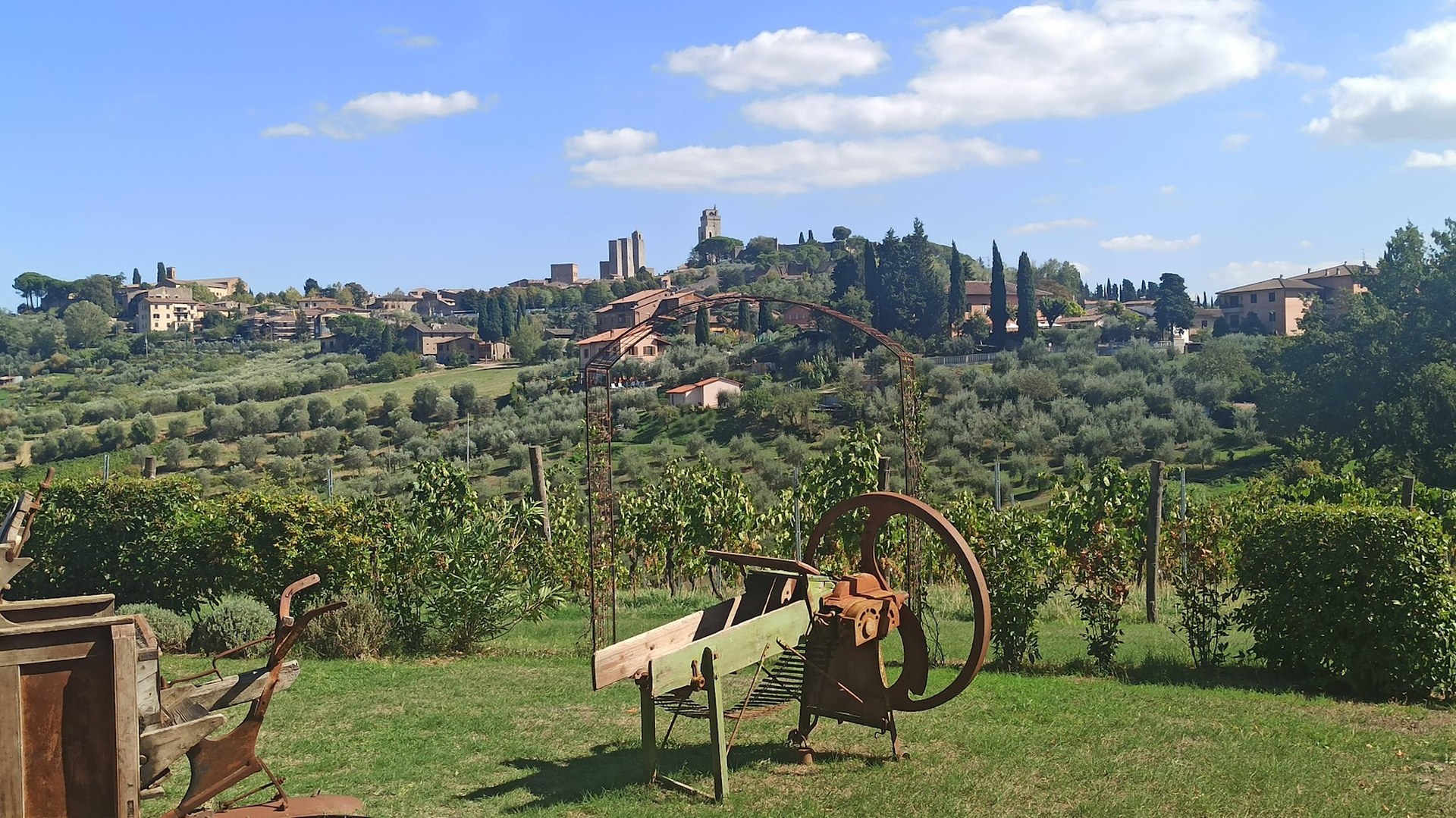 San Gimignano dalle vigne
