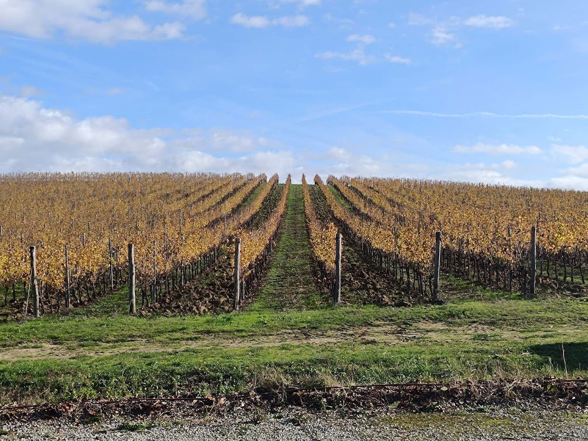 Il Chianti in autunno