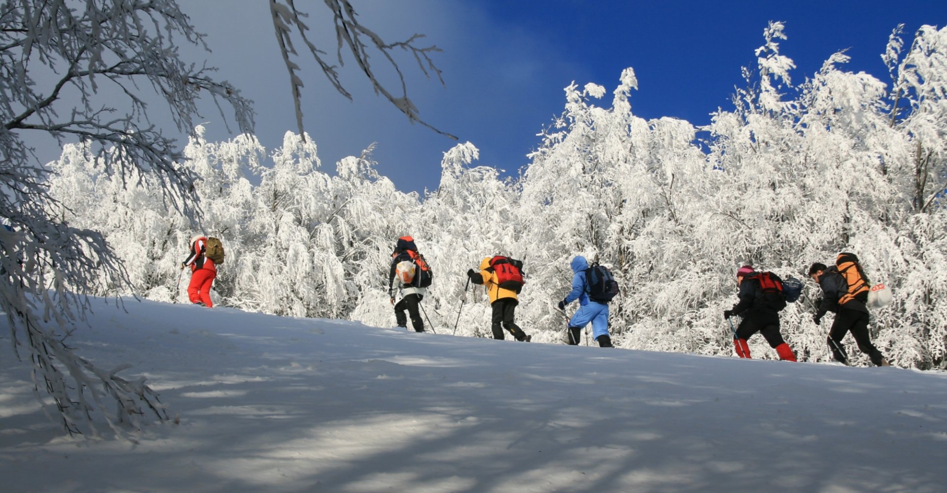 Randonneurs en raquettes à neige