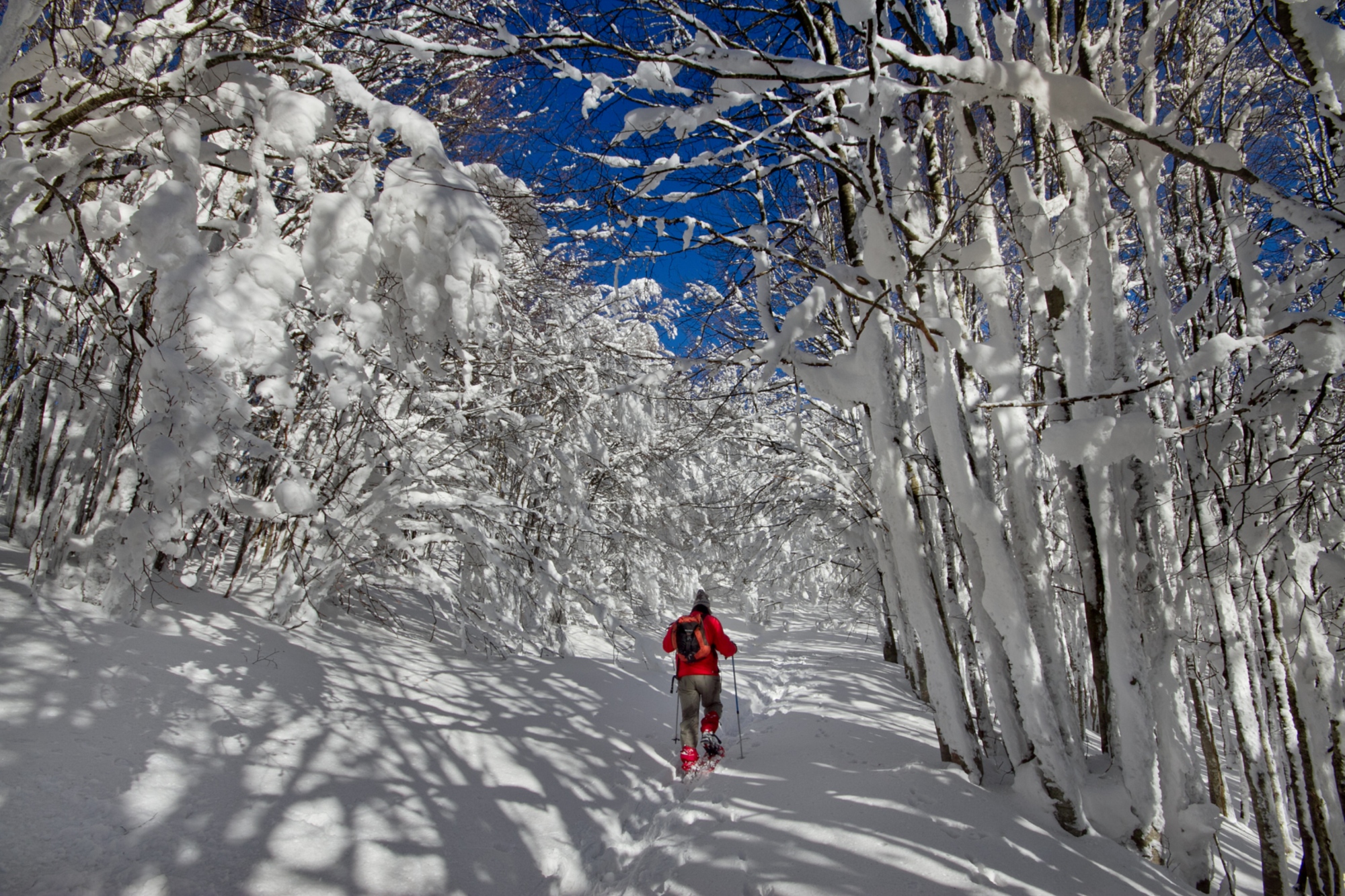 Schneeschuhwandern in der Toskana