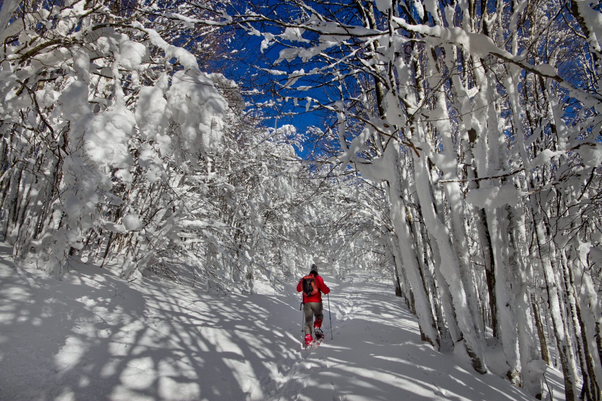 Pasear con las raquetas de nieve en Toscana