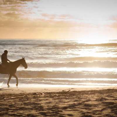 La Spiaggia di Cinquale La Spiaggia di Cinquale
