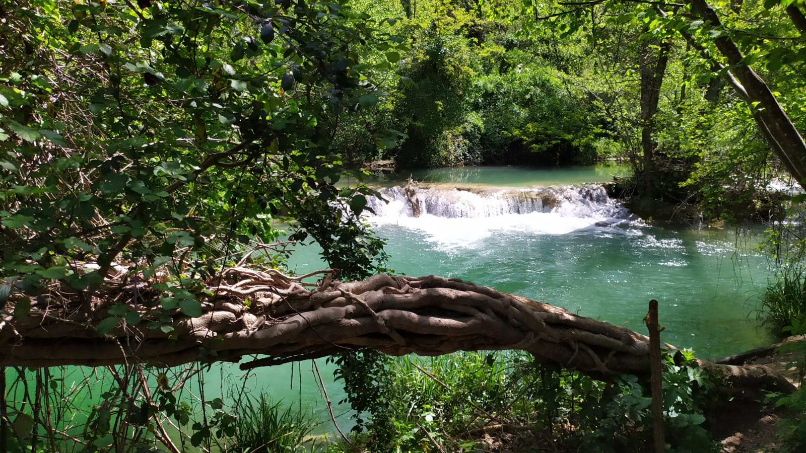 L'Anello delle Via Francigena Colligiana