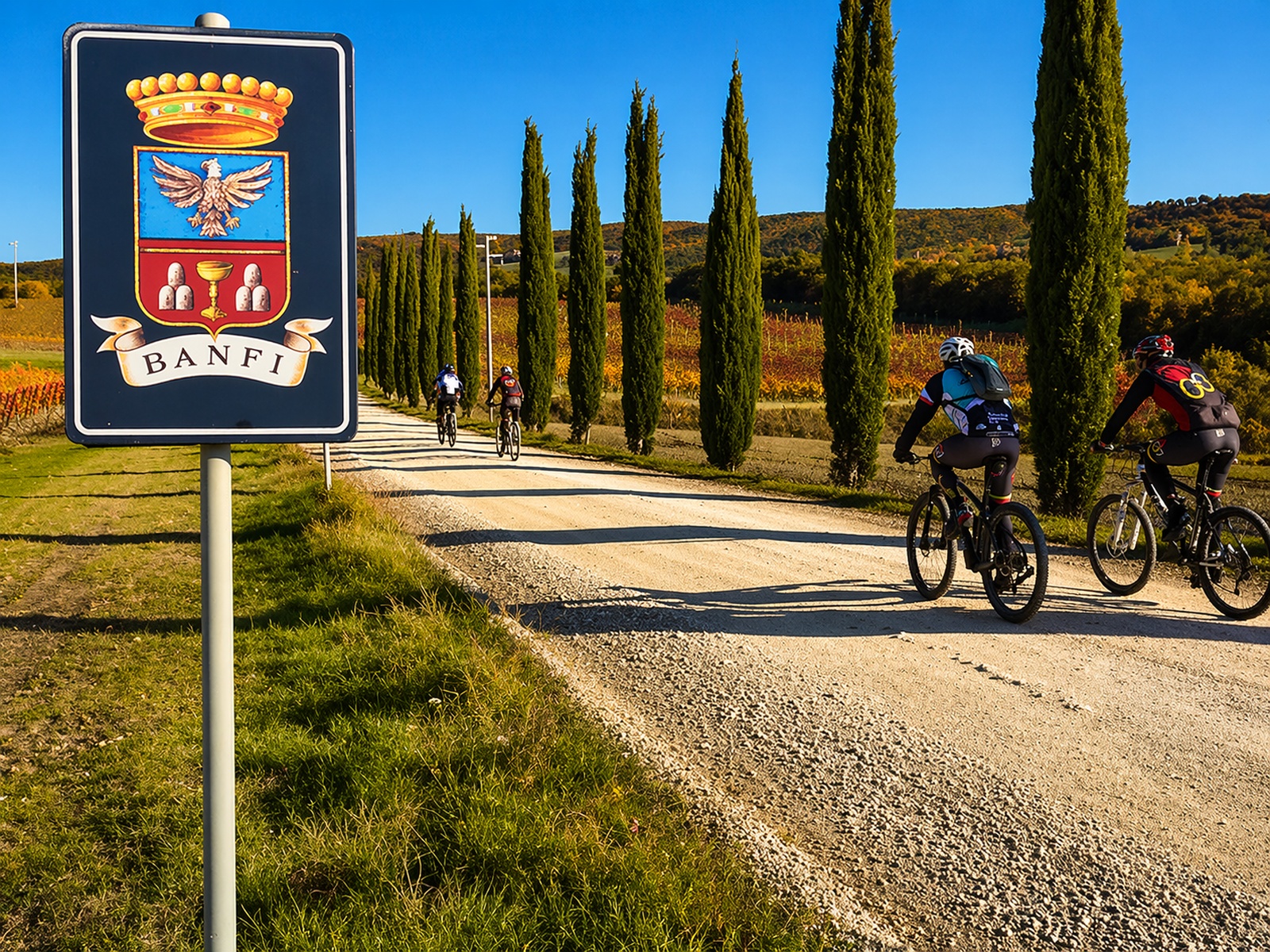 Montalcino: eBike tour in Val d'Orcia