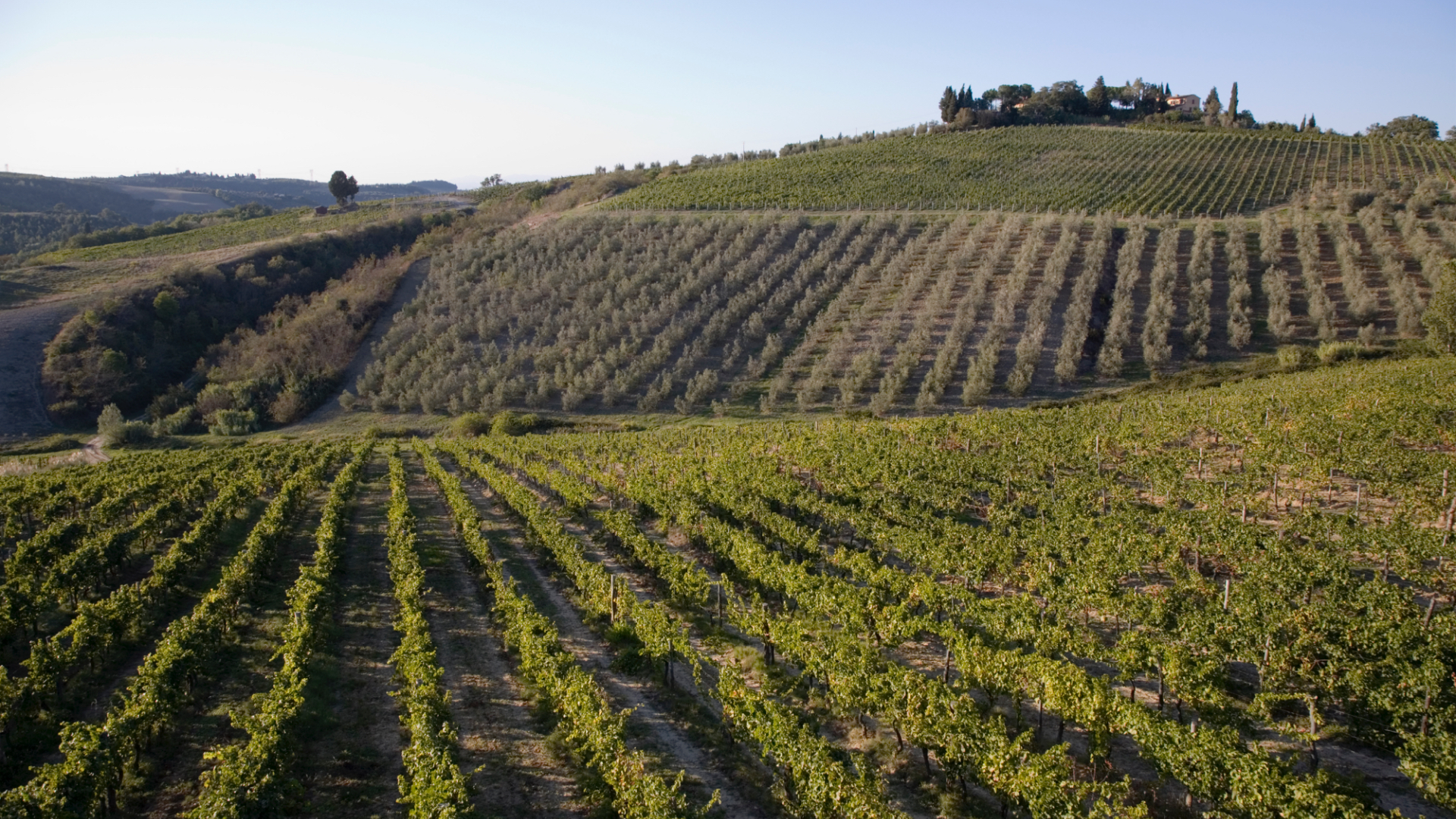 Le colline di Montespertoli