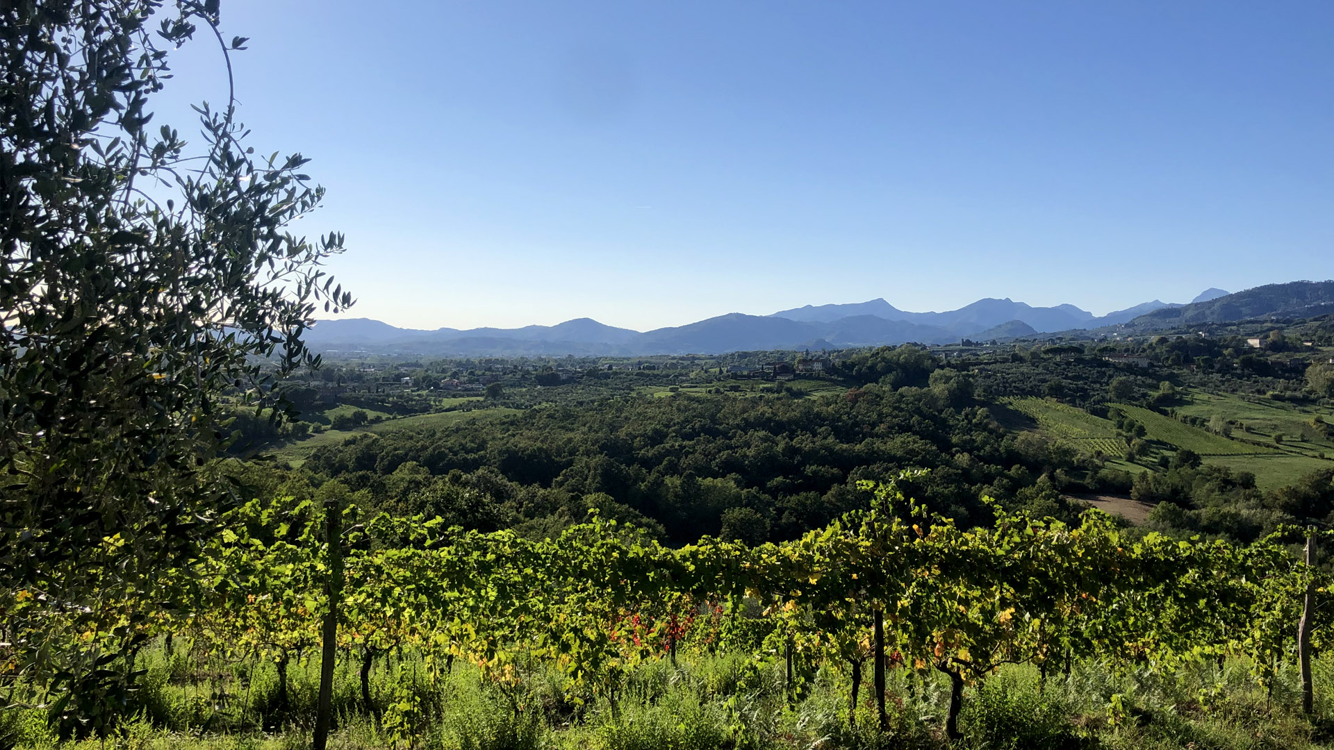 Panorama desde las colinas de Lucca - r.giomi