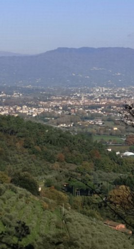 vue de la Plaine de Lucques depuis le couvent de San Cerbone sur le Mont Pisano