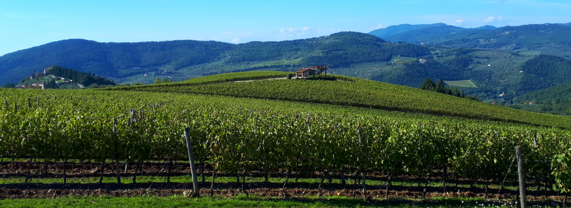 Panorama Toscana