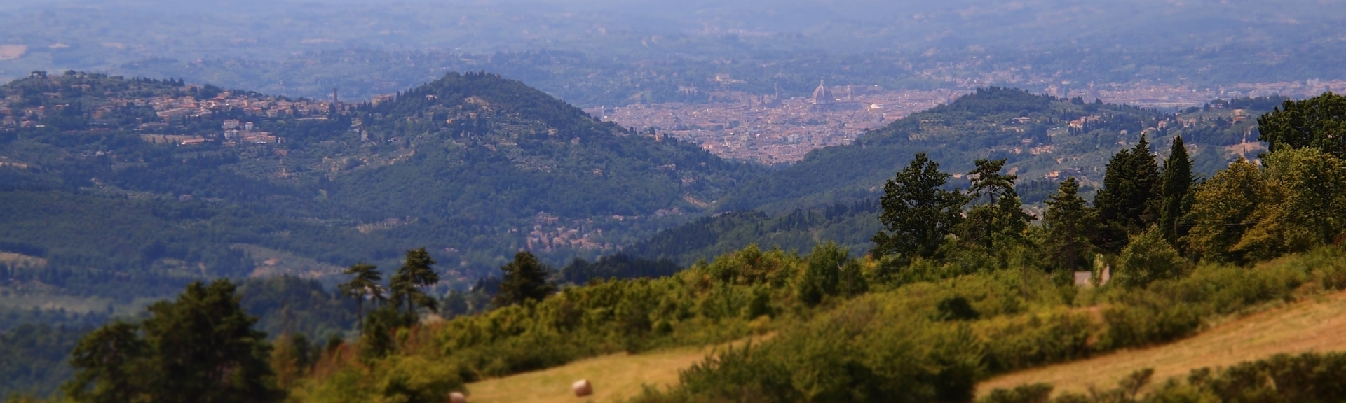 Trekking guidato alla Via degli Dei partendo da Firenze