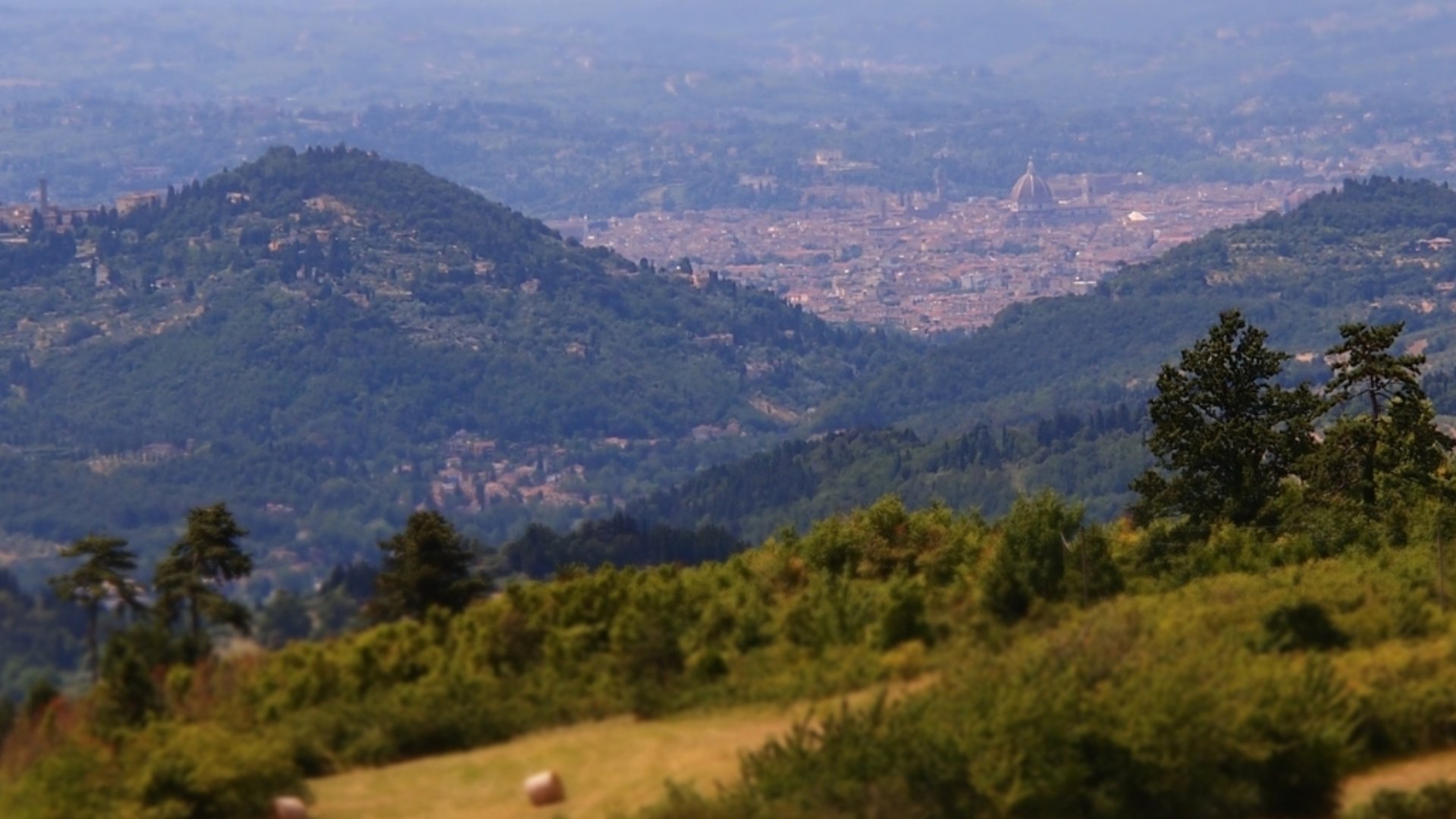 Trekking guidato alla Via degli Dei partendo da Firenze