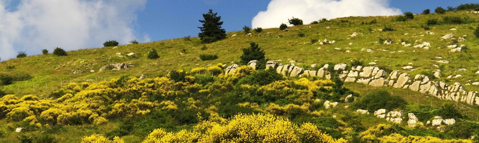 Monte della Calvana