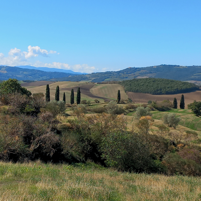 Un tour di quattro giorni tra mito e realtà in Valdichiana tra Chiusi e Montepulciano Un tour di quattro giorni tra mito e realtà in Valdichiana tra Chiusi e Montepulciano