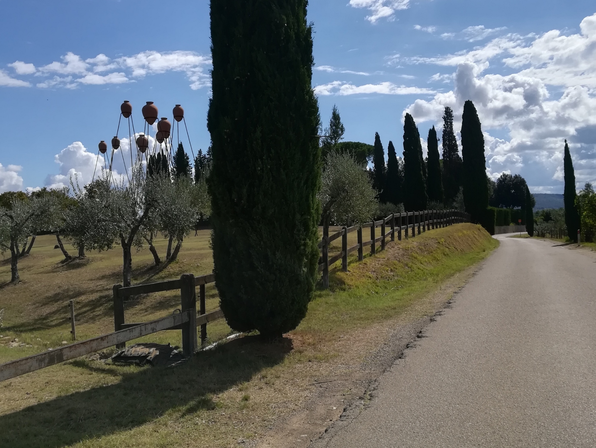 Guided visit to an Etruscan tomb and food&wine tasting in farm with view on grapevines in Chianti