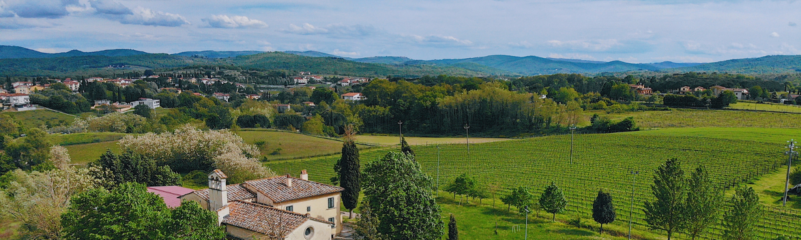 Immagine della Valdambra in primavera con colline verdi e cielo terso