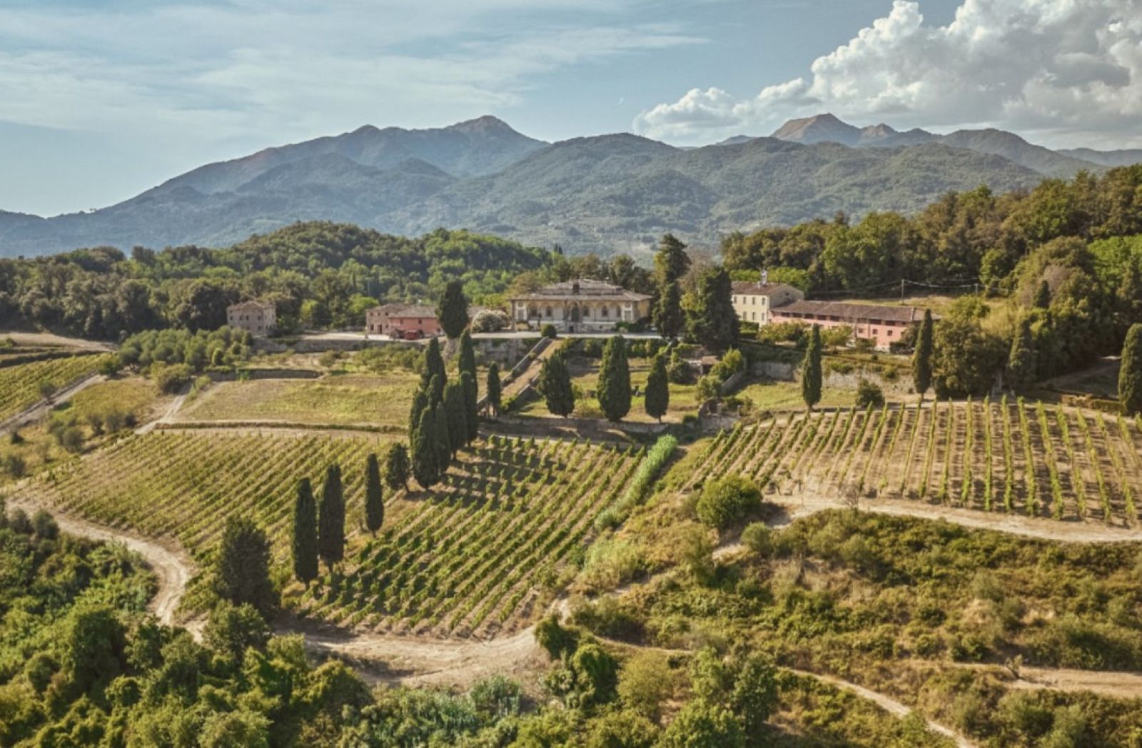 Forci experience: orchard & vineyard