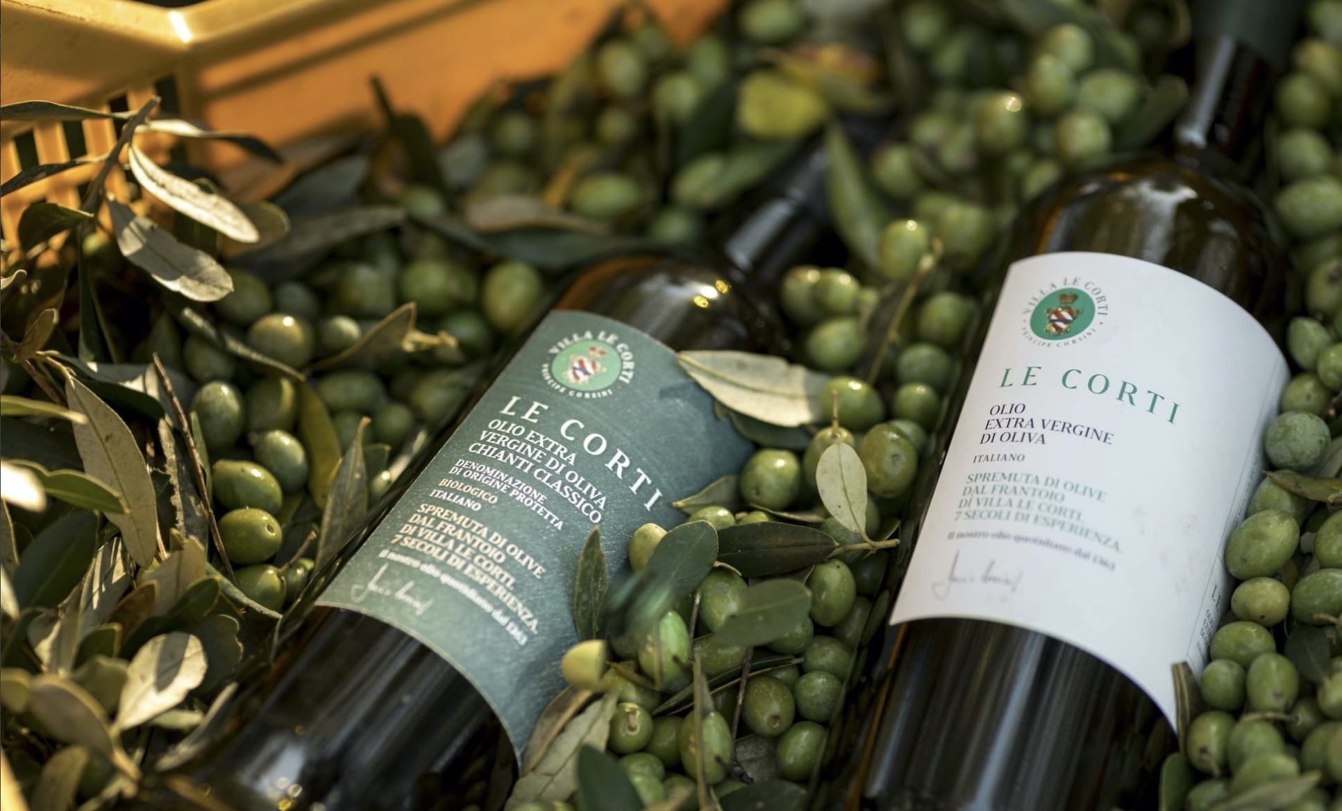 Adopt an olive tree in Tuscany: luxury Olive Oil Experience