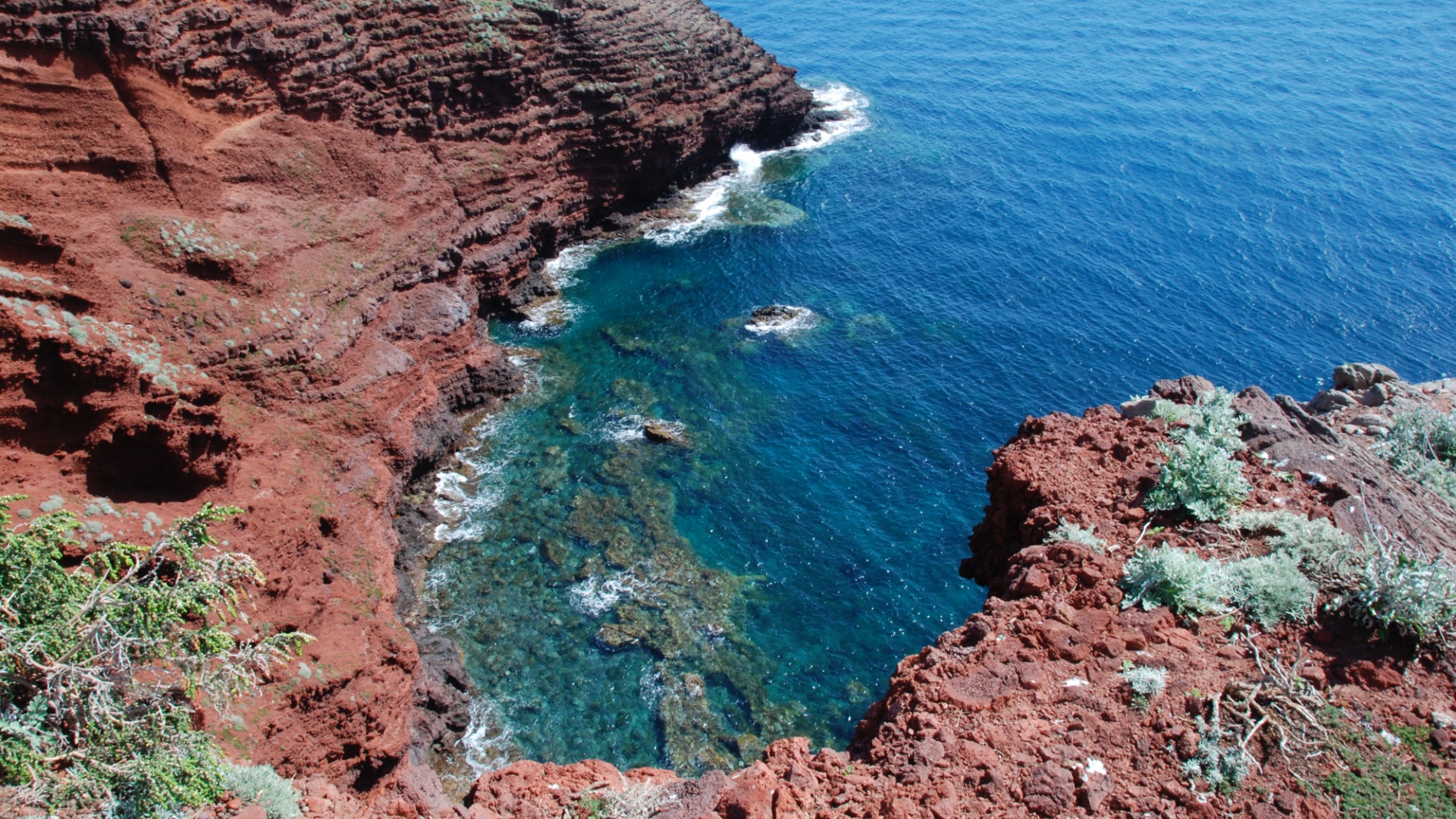 costa isola capraia