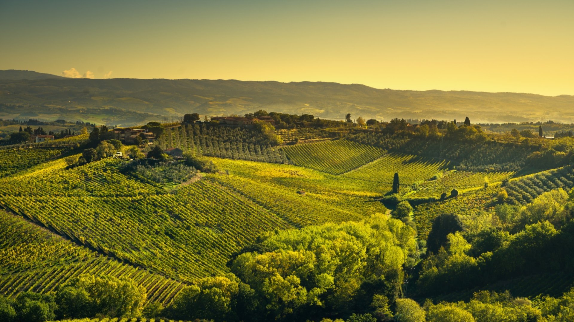 Chianti wine tastings in two traditional farms