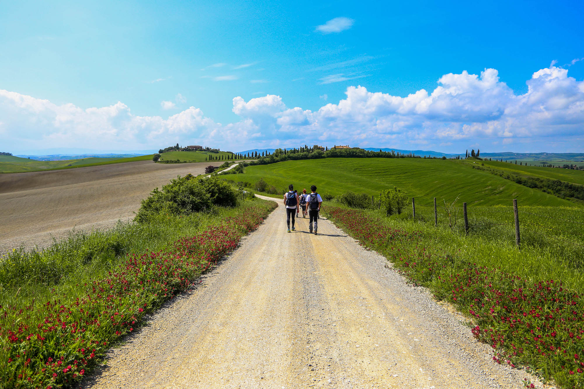 In cammino tra le Crete Senesi