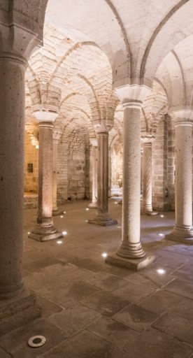 Crypte abbaye abbadia san salvatore