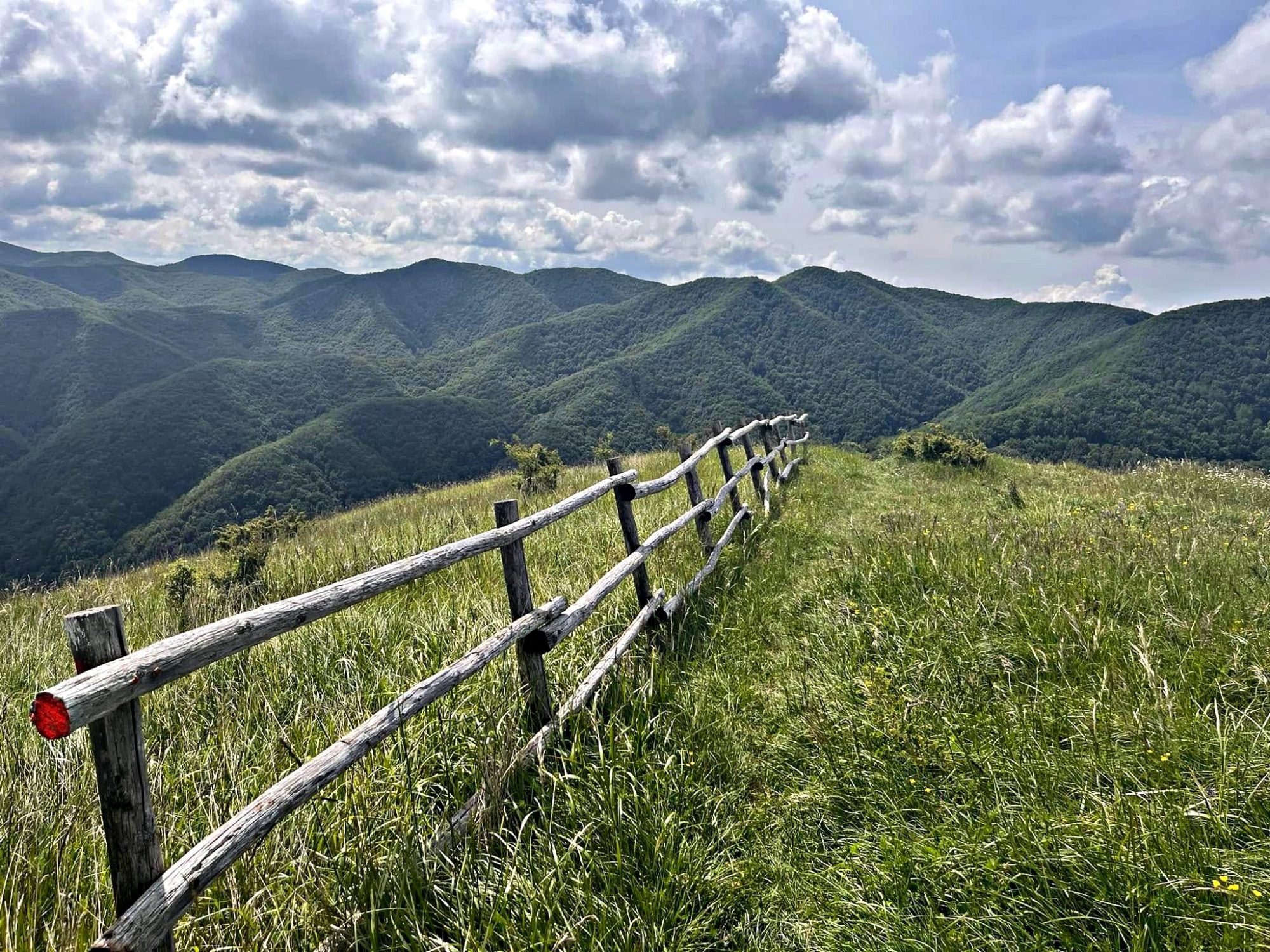 Sentiero escursionistico dell'Alto Mugello con montagne boscose
