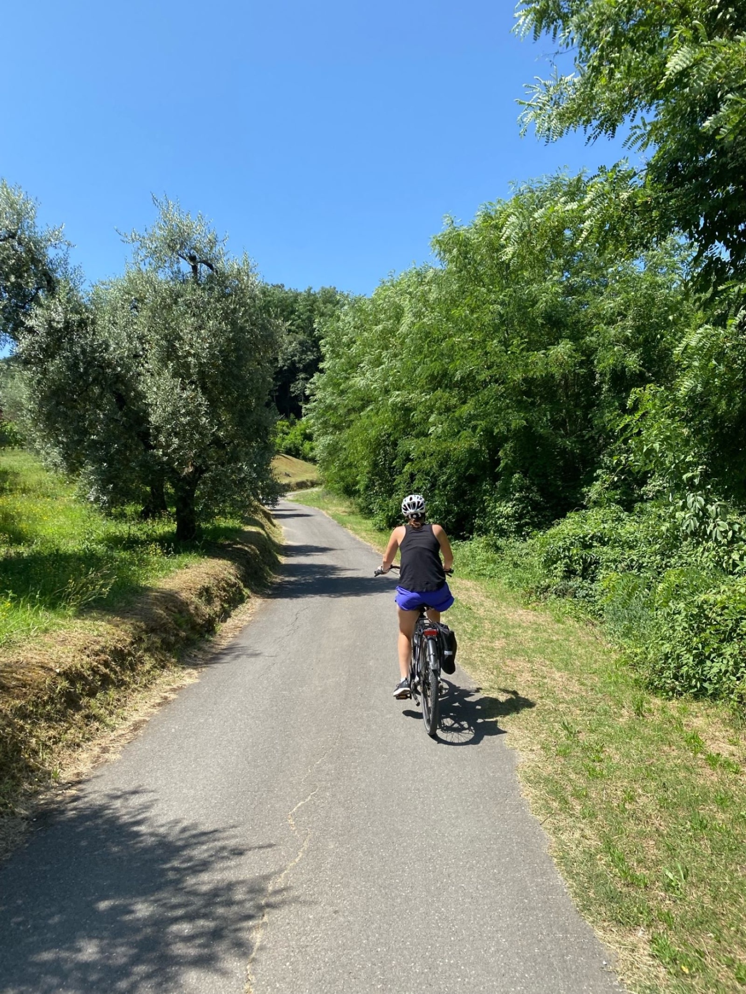 Tour in bicicletta tra le campagne lucchesi fino a Montecarlo