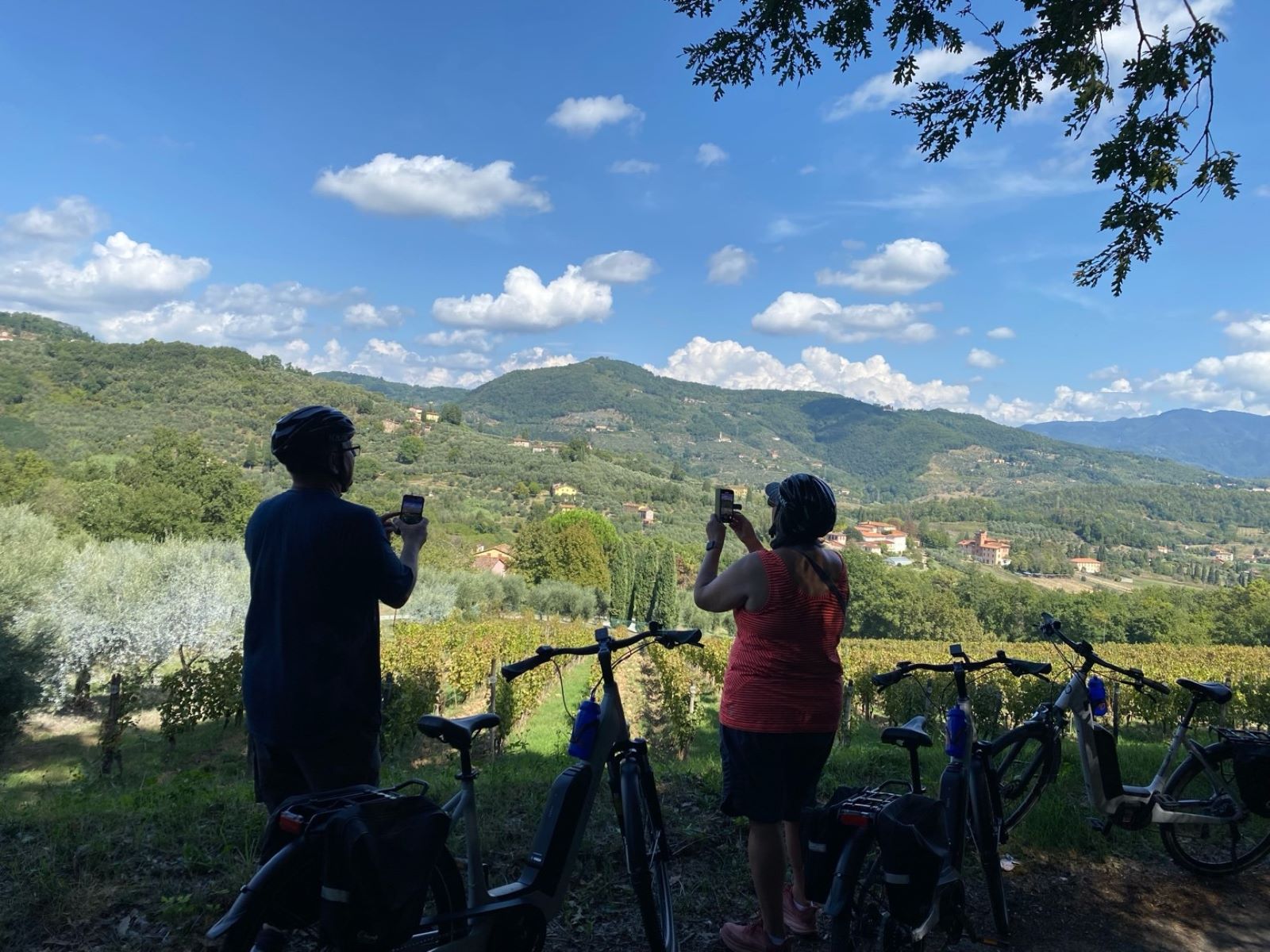 Bike tour of Lucca’s countryside and wine tasting