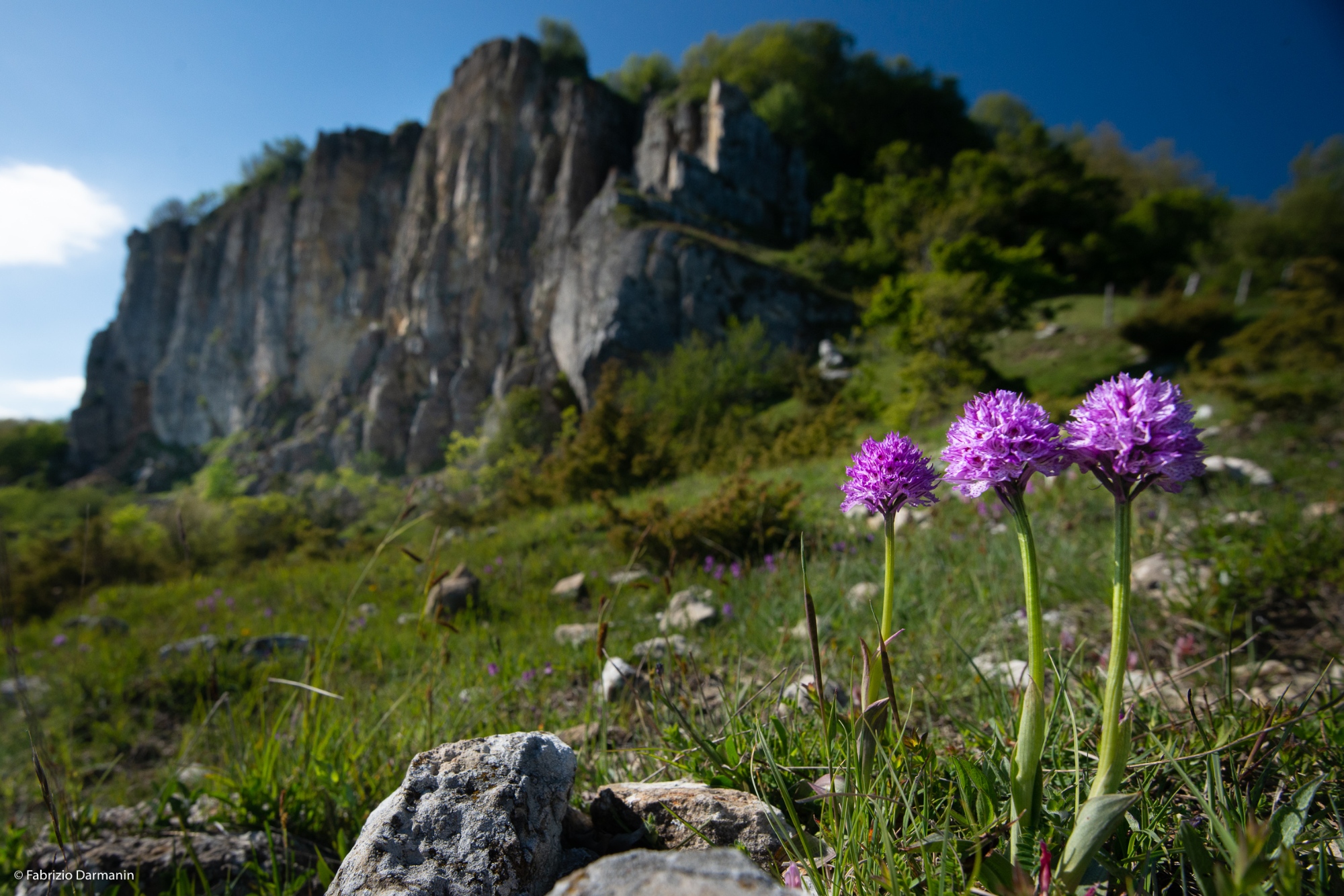 Riserva Naturale Sasso di Simone