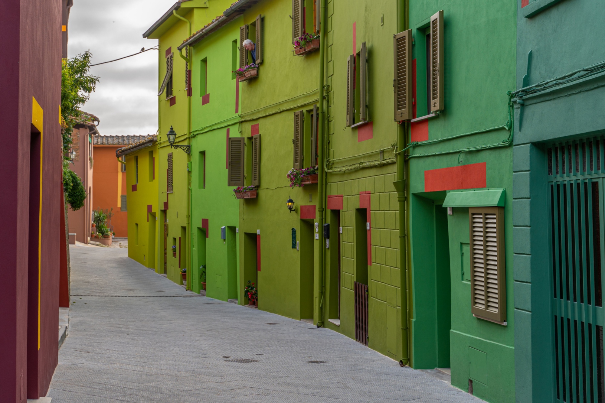 Via di Mezzo von David Tremlett