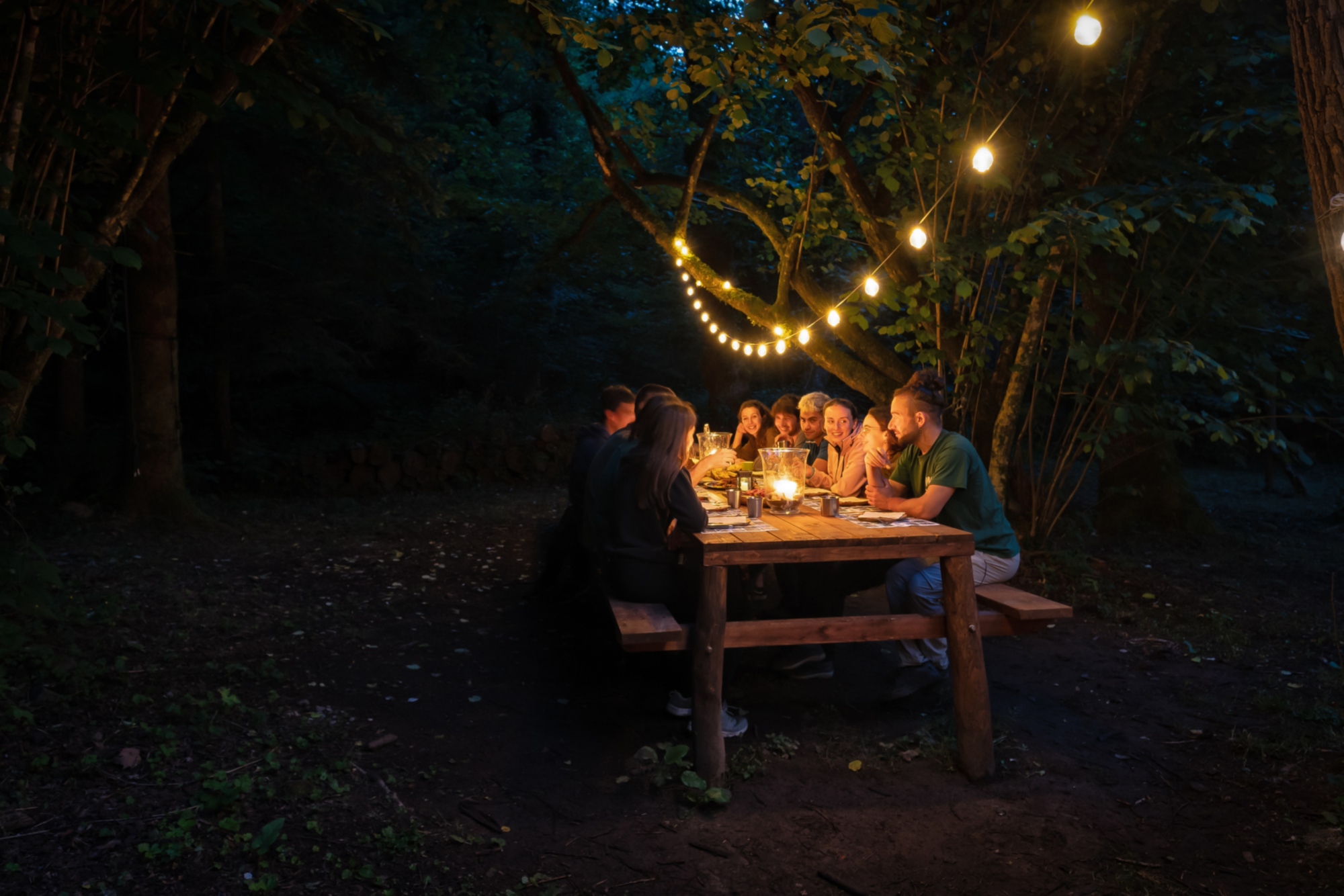 Notte nel bosco a Canyon Park