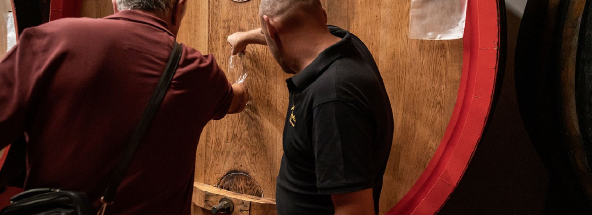 Visita in cantina dell'azienda agricola che produce i vini pregiati della Val d'Orcia come Brunello e Nobile di Montalcino. Visita in cantina dell'azienda agricola che produce i vini pregiati della Val d'Orcia come Brunello e Nobile di Montalcino.