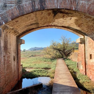 Walking through history and nature in the Maremma between Livorno and Grosseto