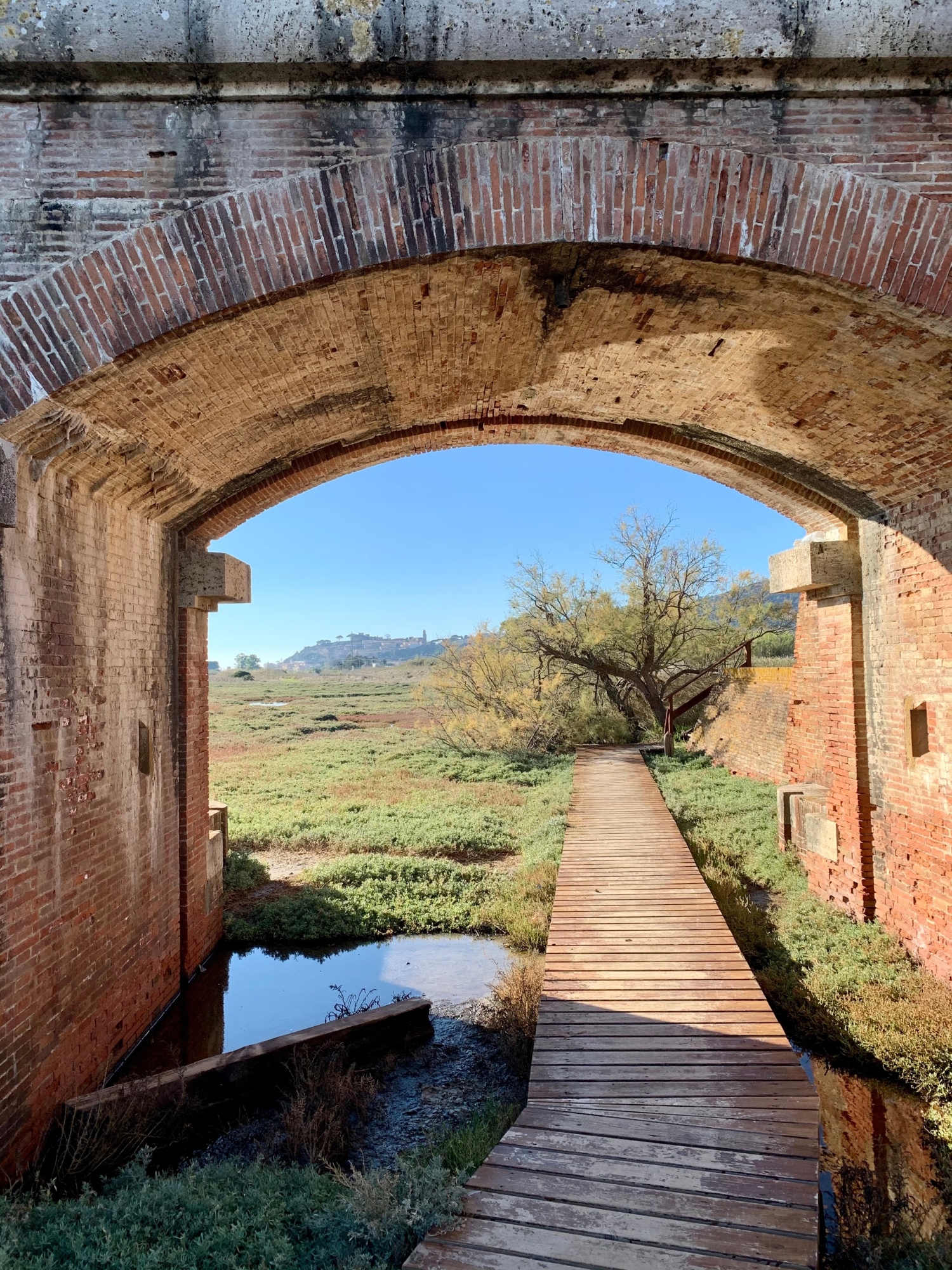 Tour di Castiglione della Pescaia, dal Castello Aragonese alla Riserva naturale Diaccia Botrona