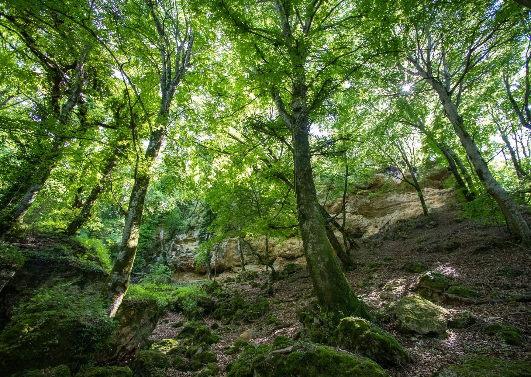 Riserva Naturale di Pietraporciana